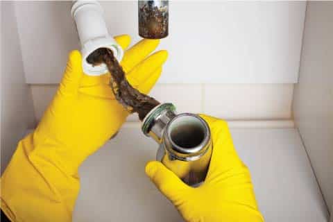 sink drain cleaning
